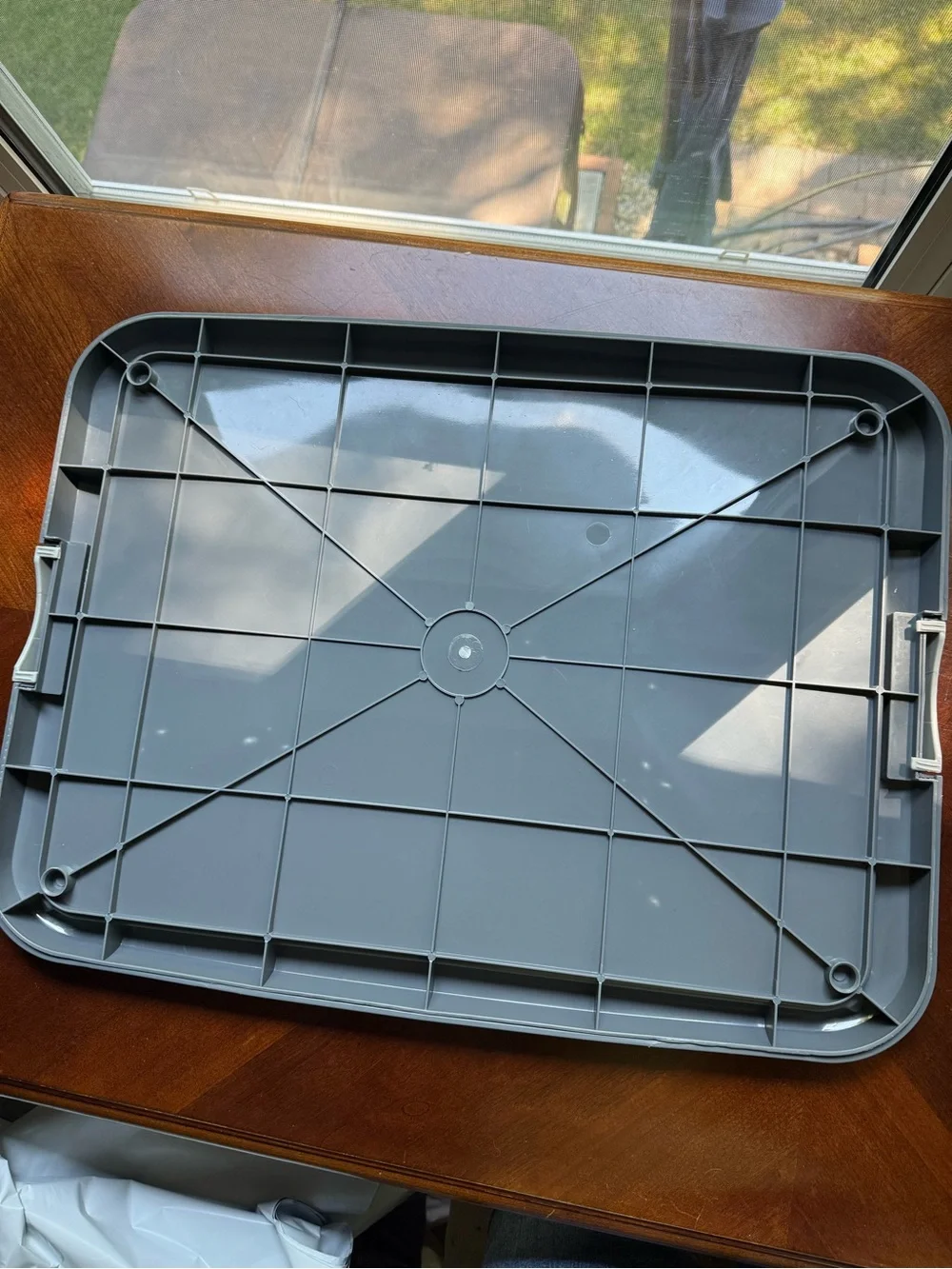 Gray Dog Housebreaking Tray with Removable Grid - by PetSmart